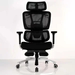 Siyah Fileli Başlıklı Ergonomik Ofis Koltuğu ARY100-04